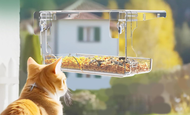 Window Bird Feeder Deal at Unknown Store