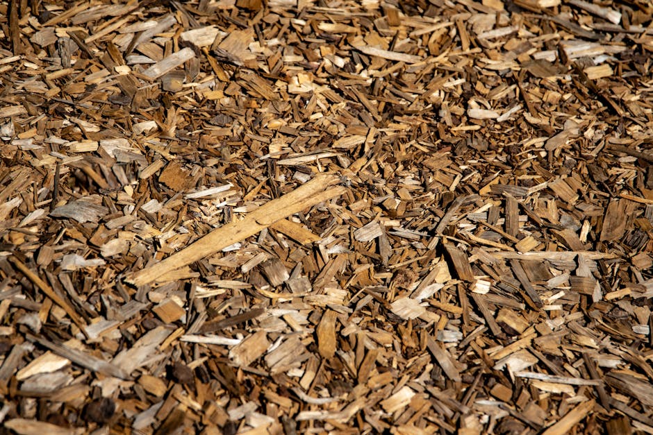 Premium Mulch only $2 at Lowes!