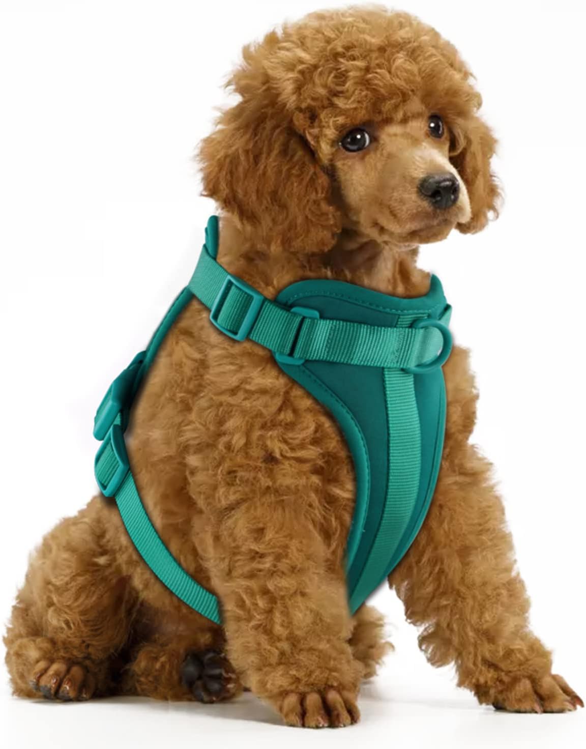 Wisedog No Pull Lightweight Dog Harness: Adjustable Breathab deal at Amazon