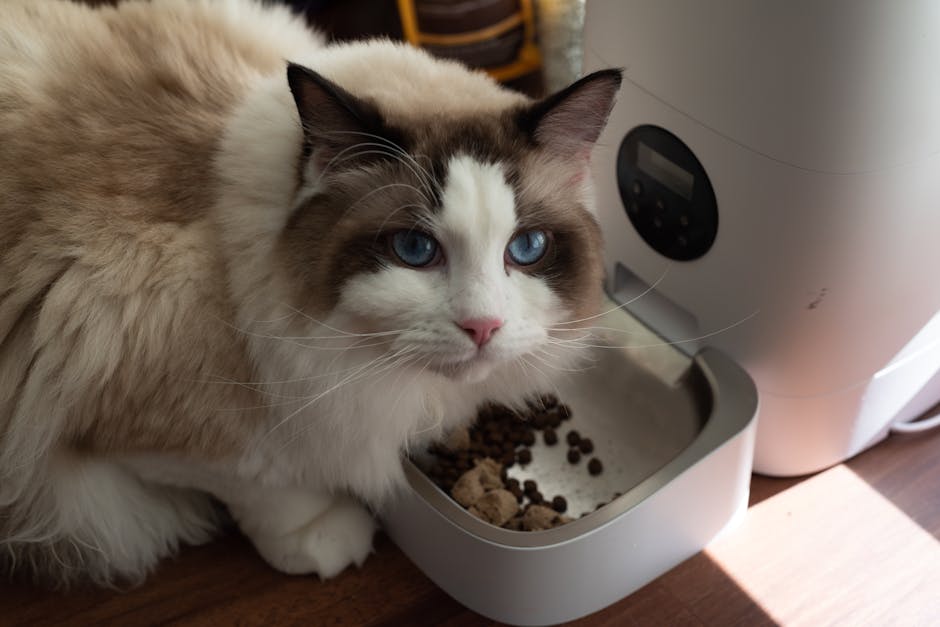 Automatic Waterer for Pets deal at Amazon