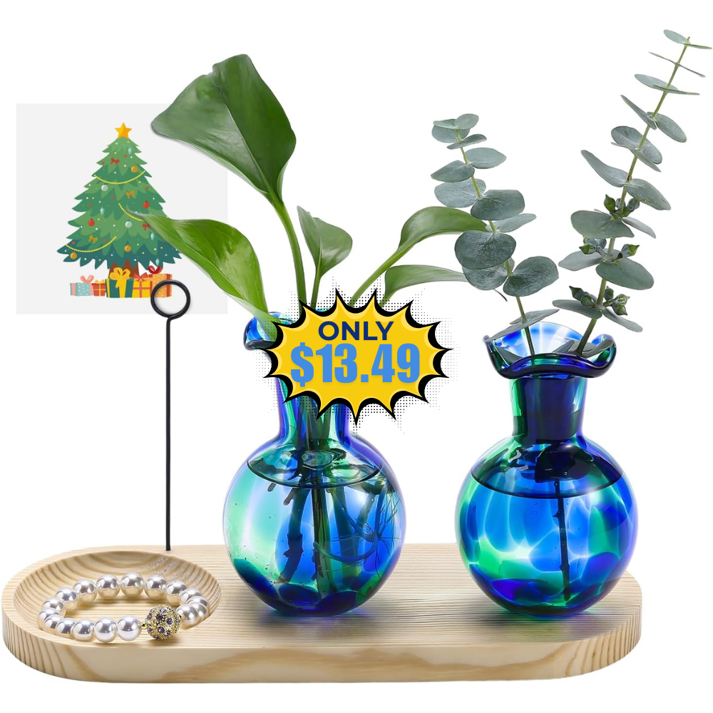 Hand Blown Glass Plant Propagation Station Deal: Save on Station