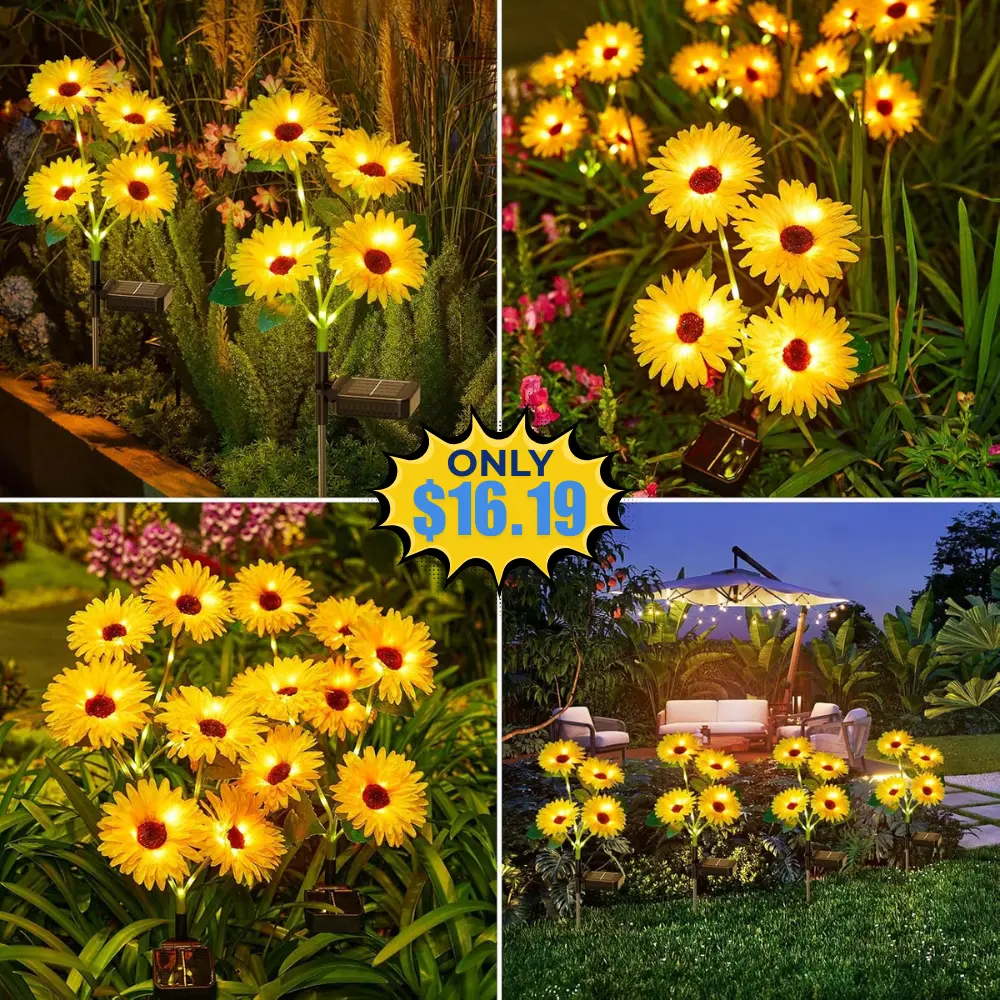 4 Pack Waterproof Solar Flowers Lights Deal: Save 21%