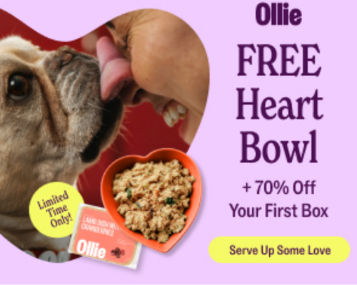 70% Off + FREE Heart Bowl at Ollie Dog Food Deal