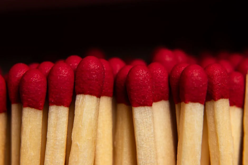 Amazon Fire TV Stick Just