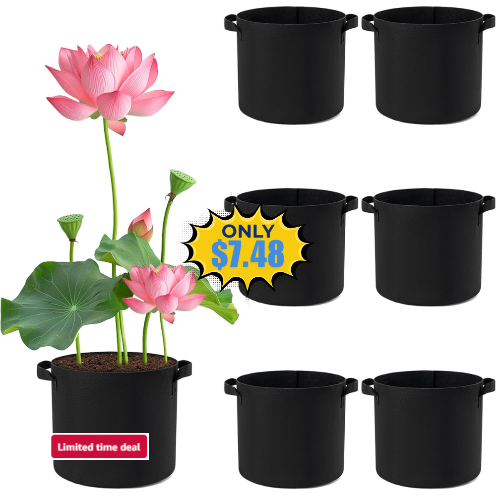 2 Gallon Lily Plant Pots for Pond, 6 Pack Deal: Save 50% at Lily Plant Pots