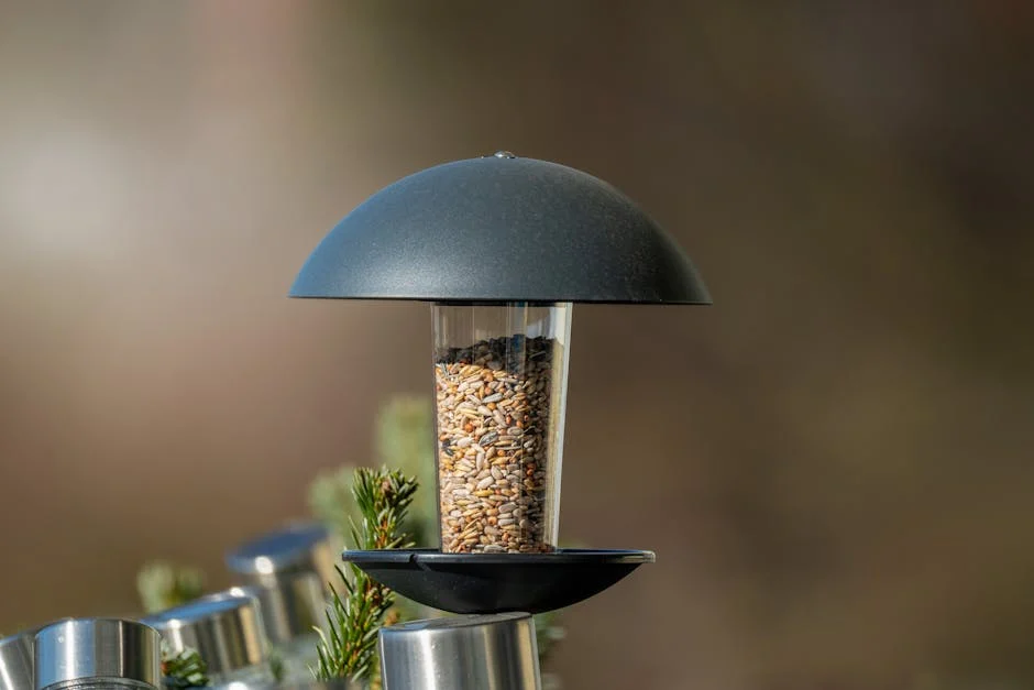 *HOT* Birdfy Smart Bird Feeder only $49.99 shipped (Reg. $120!)