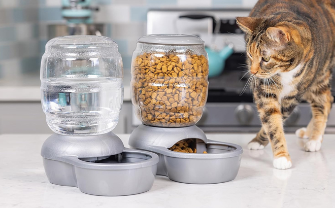 Automatic Waterer for Pets Deal