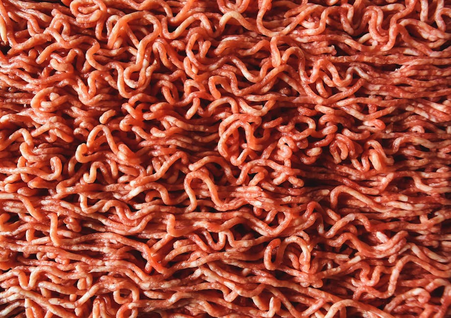 Frito Lay Jack Link’s Doritos Meat Sticks 20 Pack Only $17.xx (re