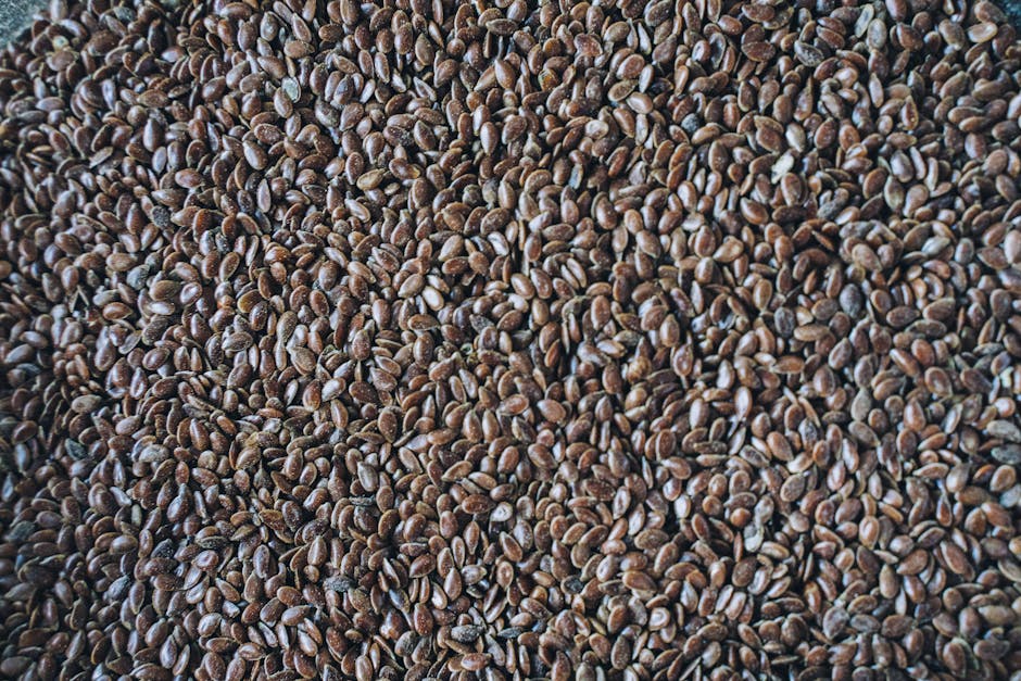 Elan Organic Flax Seed Only