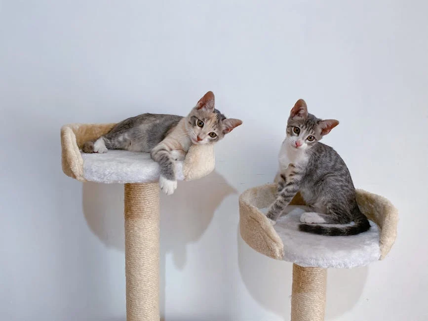 Sweetcrispy 63 inch Cat Tree Tower Only $48.xx on Amazon (Reg $80