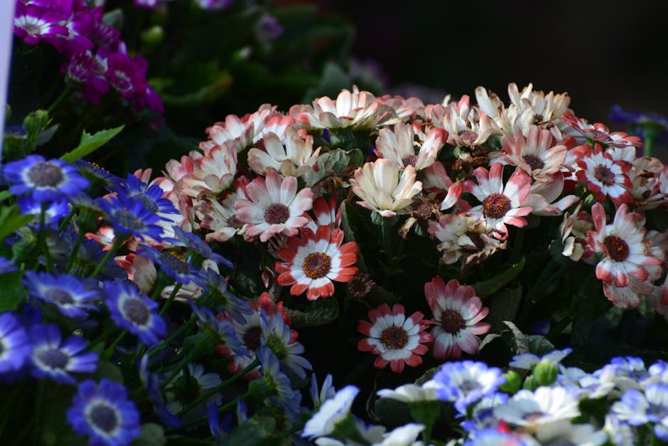 75% Off Flowers Today Only