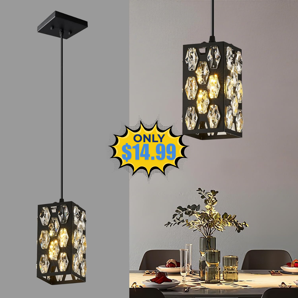 Modern Black Pendant Light Fixture 25% Off