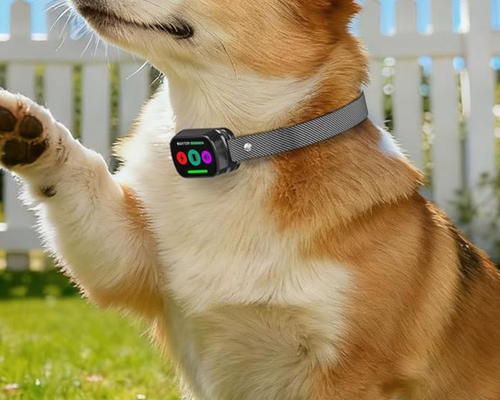 Dog Training Collar Deal at Amazon