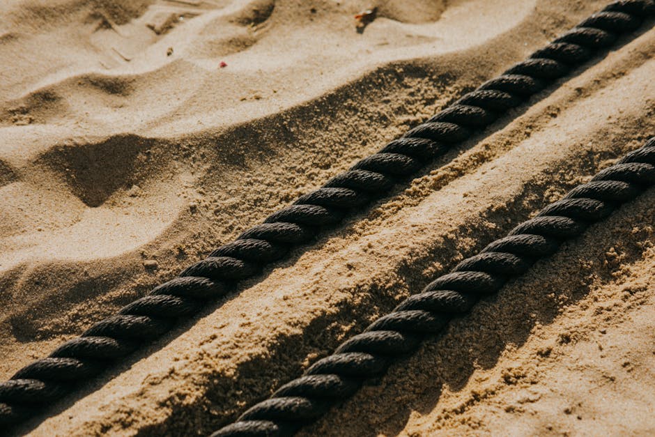 Cordless Weighted Battle Ropes 2-Pack Only $13.99 on Amazon (Work