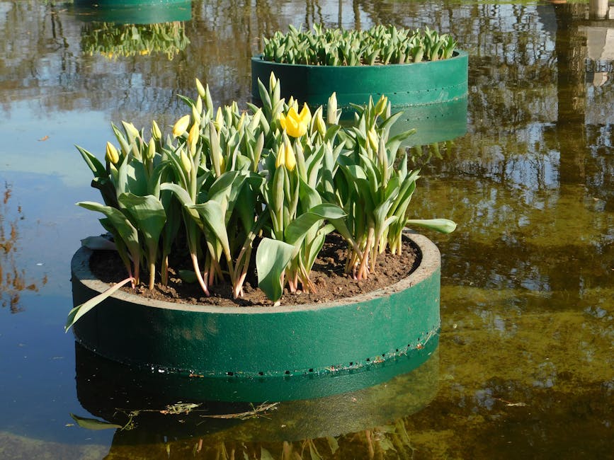 Target Self-Watering Planters as low as