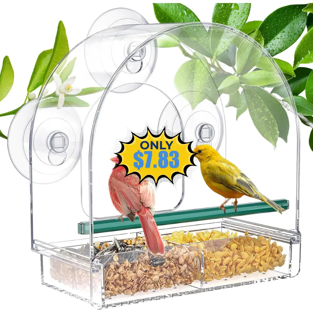 SUNALLY Window Bird Feeder Deal: Save 5%