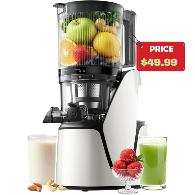 The current image has no alternative text. The file name is: in-1-Cold-Press-Juicer.png