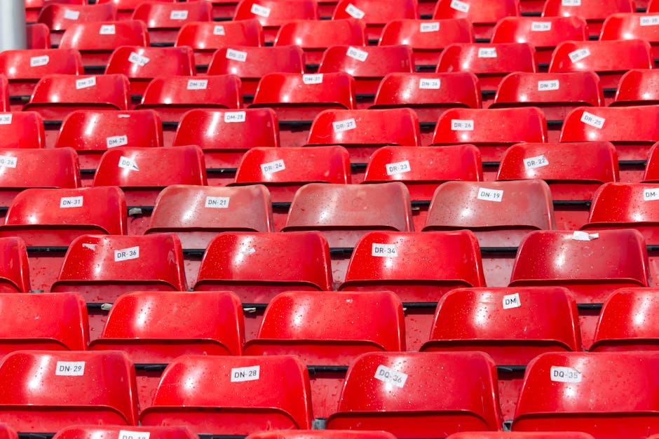 Clear Stadium Bags for Game Days & Concerts! Starting at $7.99!