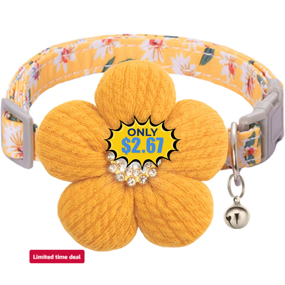 Small Dog Collar with Flower Deal: Save 10%
