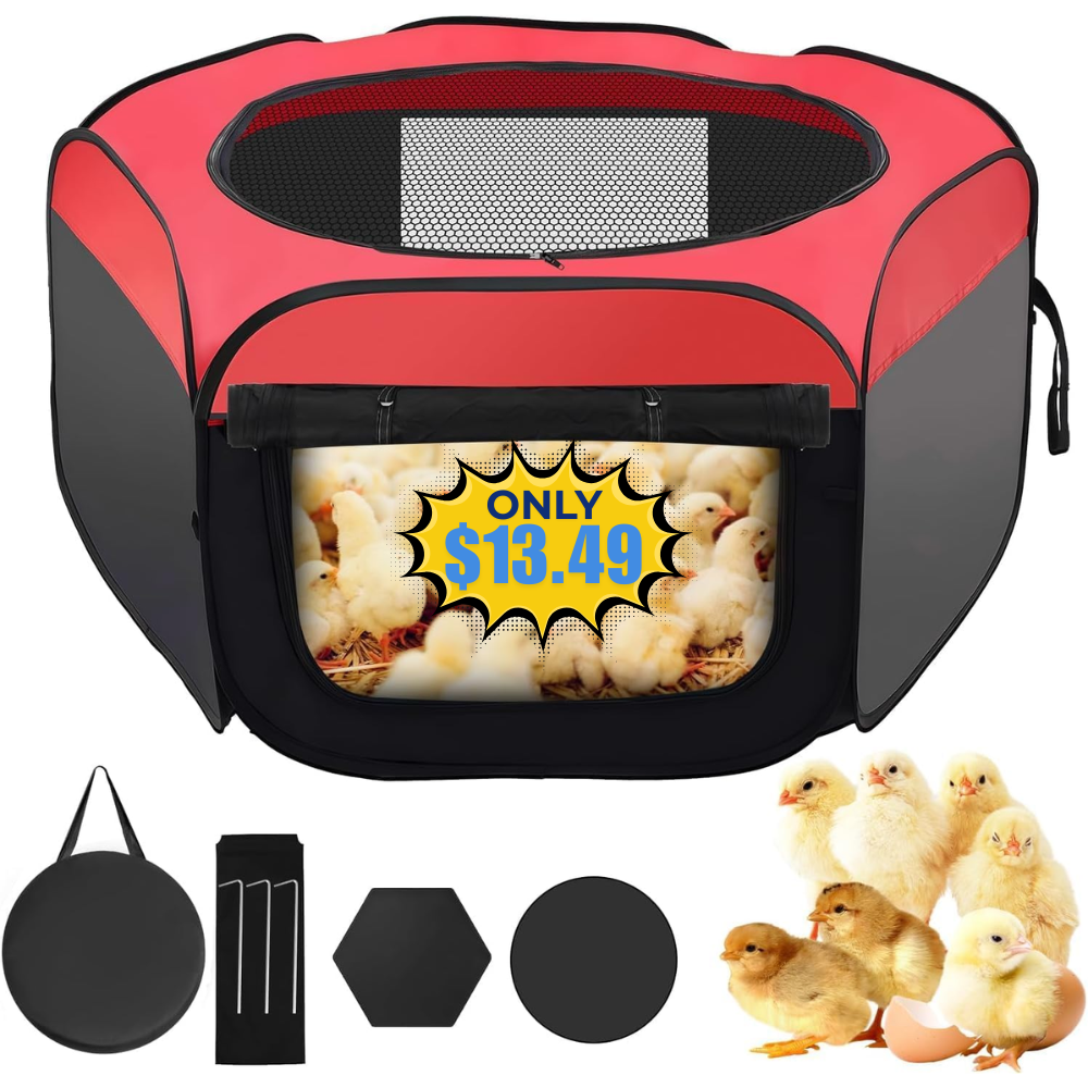 Chicken Brooder Box Deal: Save 7% at Store