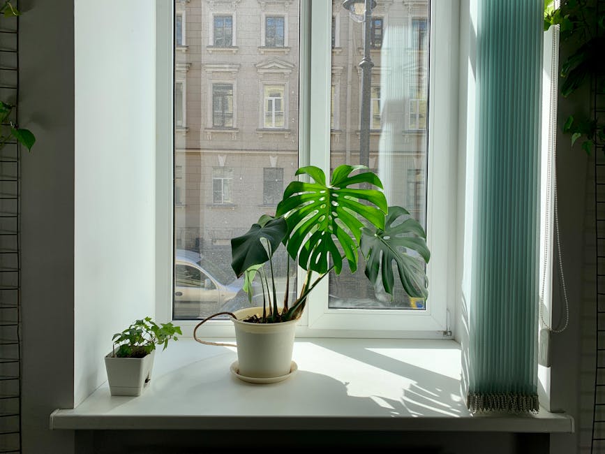 EOEBOT Large Room Air Purifier only $75.99 shipped!