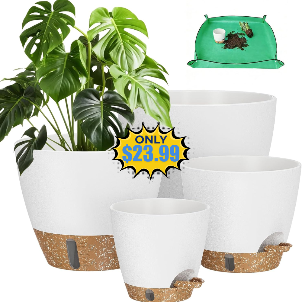 Plant Pots Deal: Save with Promo Code