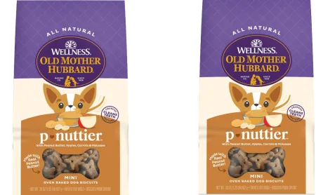 Buy 2, Save 50% on 1 Pet Product at Amazon