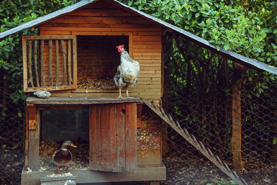This Fun Chicken Farmer Barbie Doll Comes With a Chicken Coop Playset!