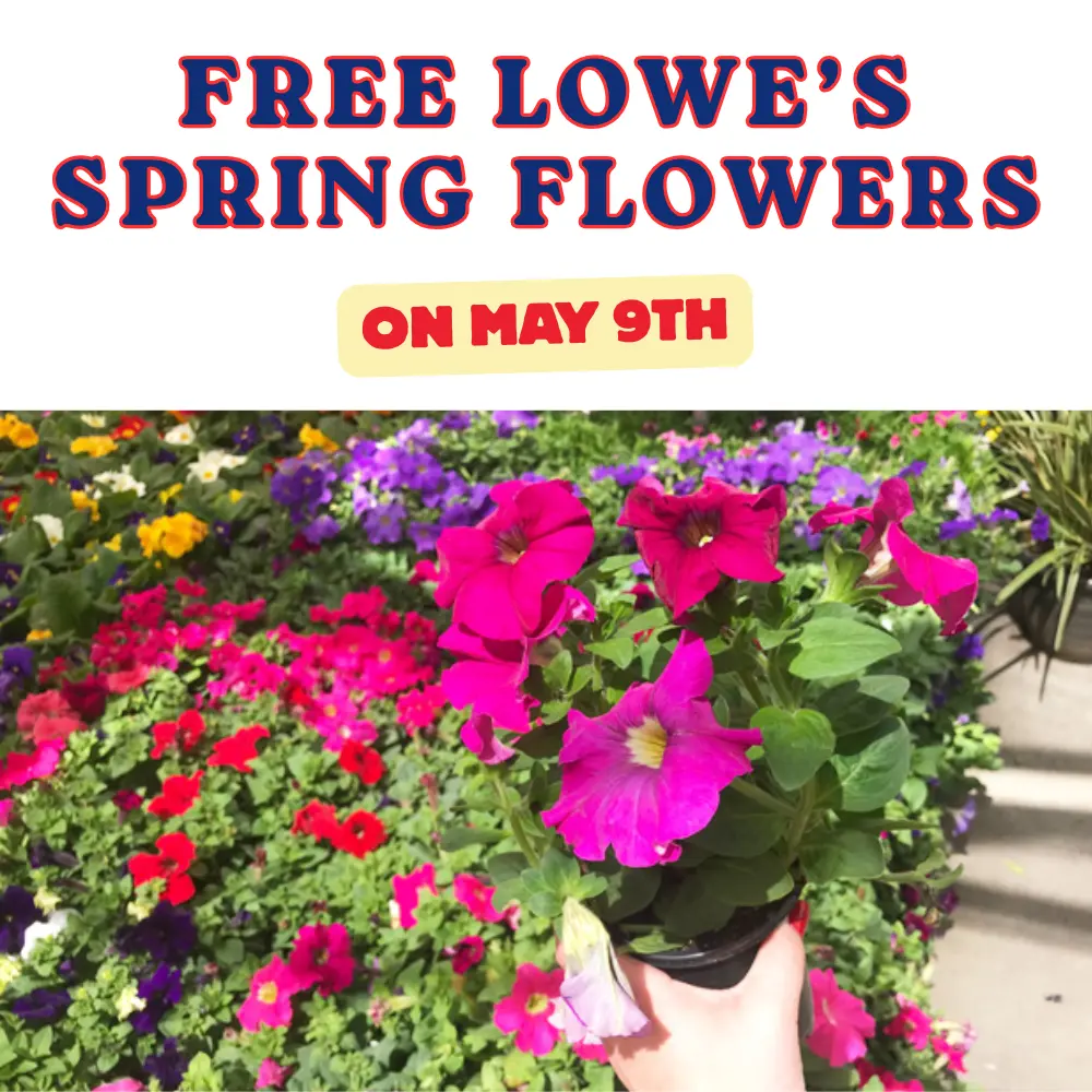 FREE Spring Flower at Lowe’s on May 9th