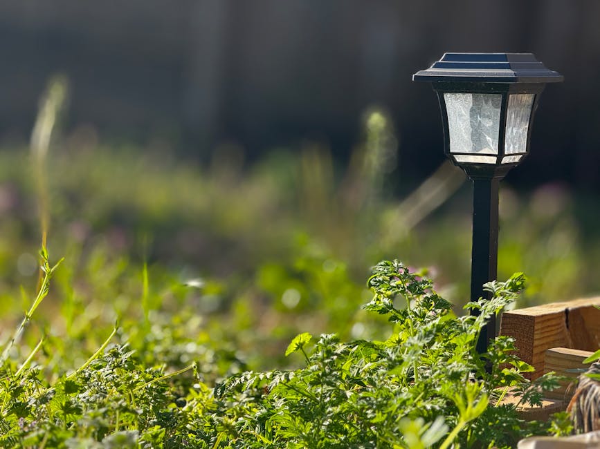 Outdoor Solar Lights 6-Pack for deal at Amazon