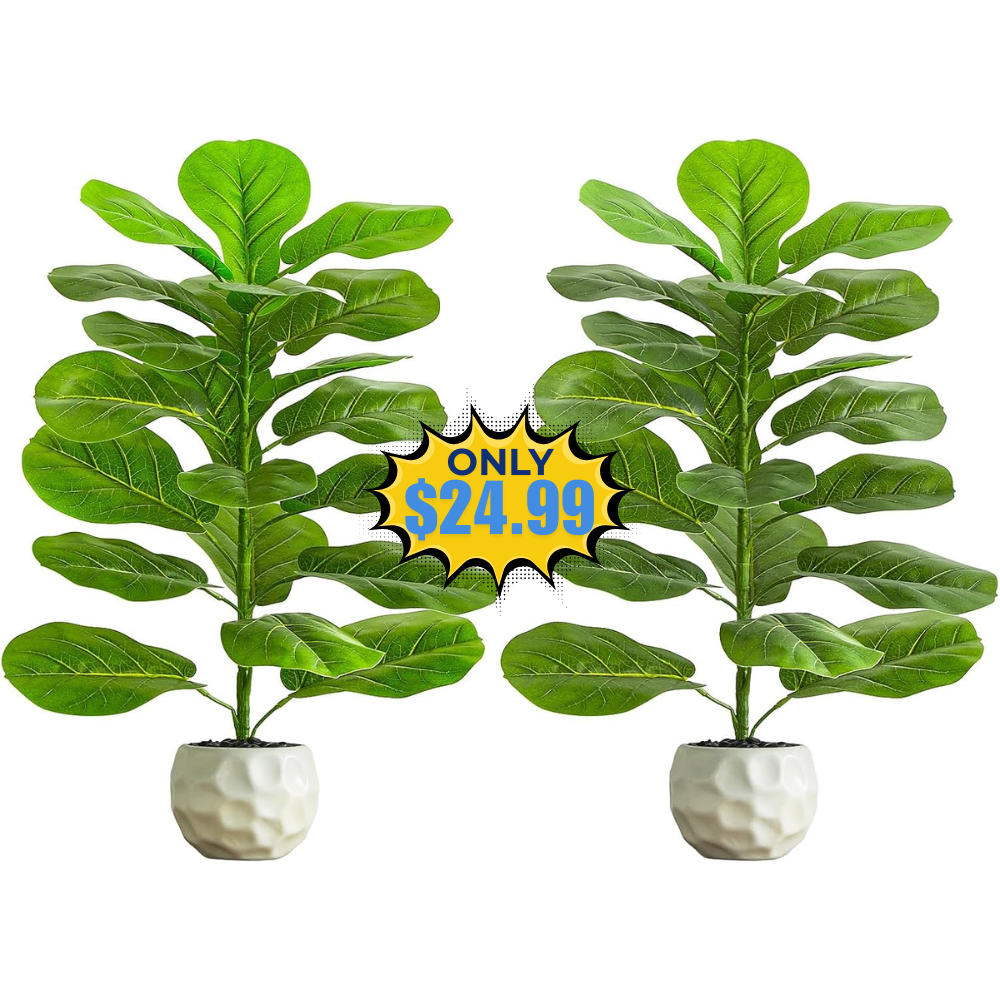 2 Pack Artificial Fiddle Leaf Fig Tree Deal: Save 29%