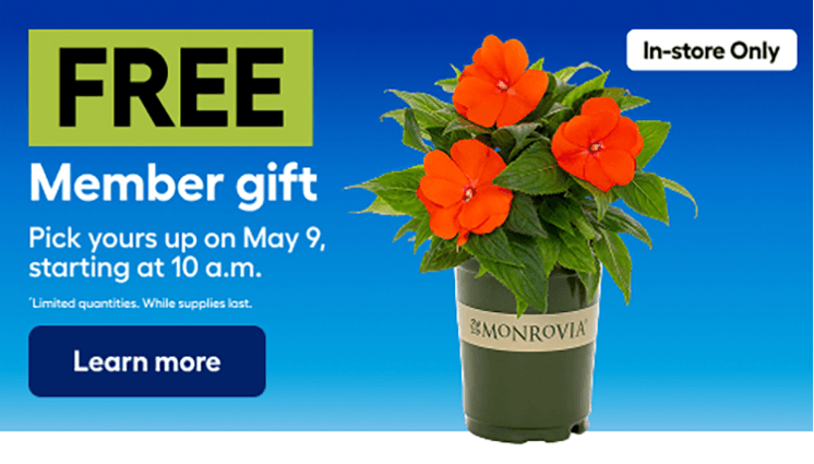 Free Spring Flower Giveaway at Lowe’s