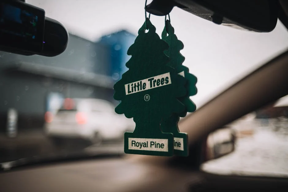 Little Trees Car Air Freshener Spray 6-Pack for for $4.99 (62% Off)