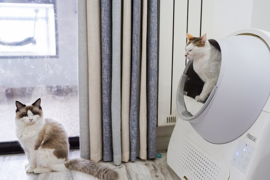 Enclosed Cat Litter Box with Lid deal at Walmart