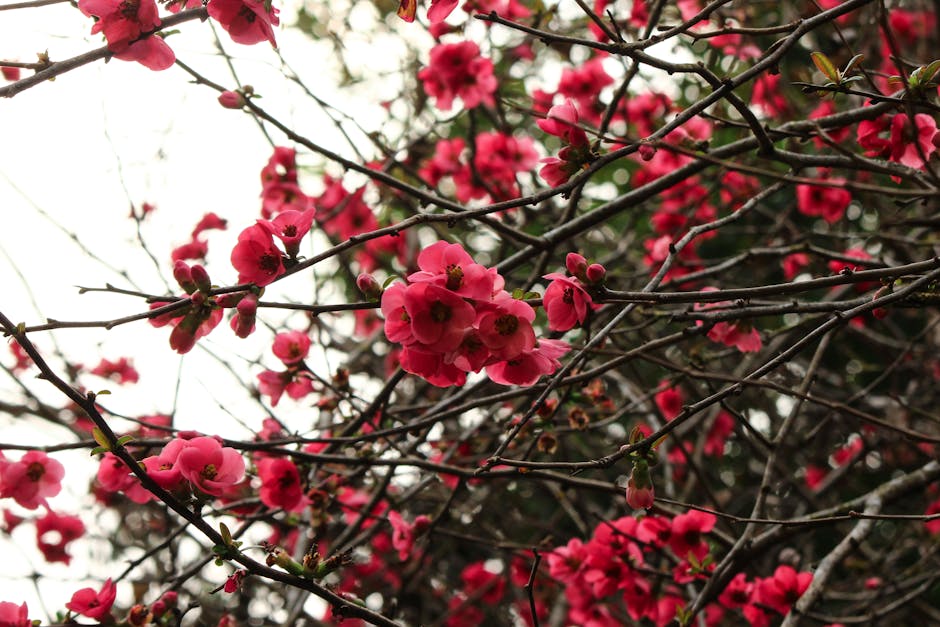 Viral Wooden Pink Flowers are Back at Lowes! Deal at Lowe’s