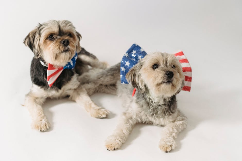 National Pet Month Deals at Walmart deal at Walmart