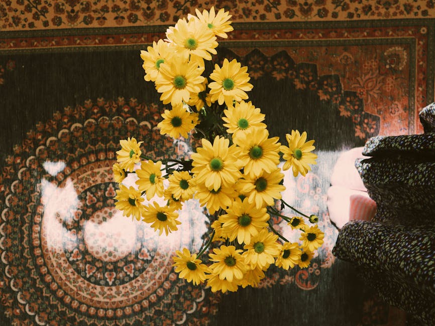 Spring Daisies Rug for $10 (67% Off)