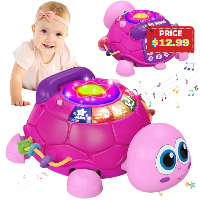 Musical Turtle Baby Toys Deal: Save 55%
