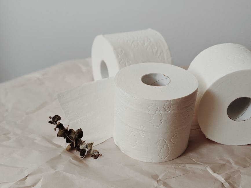 Cottonelle Toilet Paper 41 Mega Only $34.79 (Reg. $34.79) at Amazon