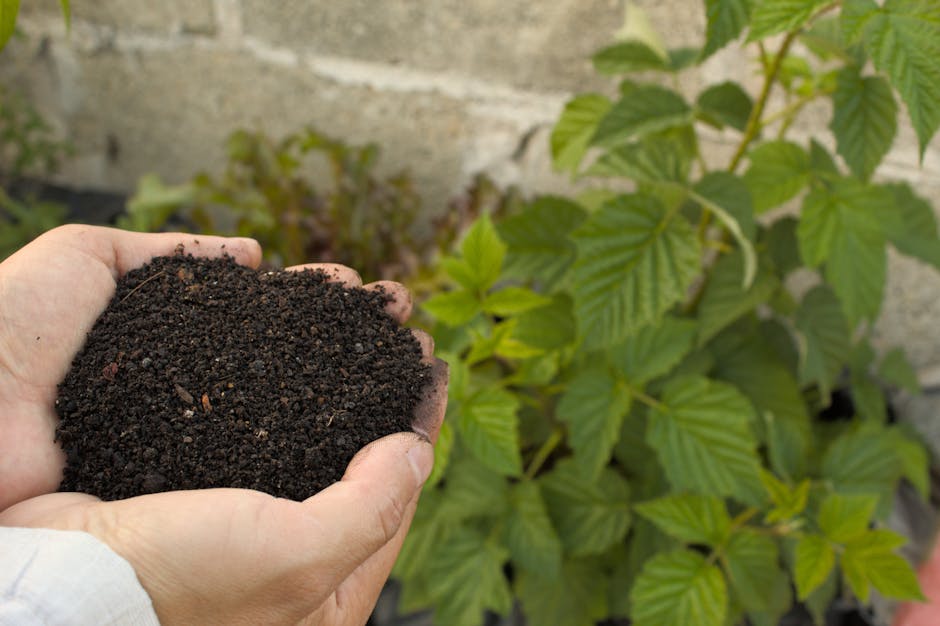 Miracle-Gro Garden Soil JUST Only $2 (Reg. $4.58)