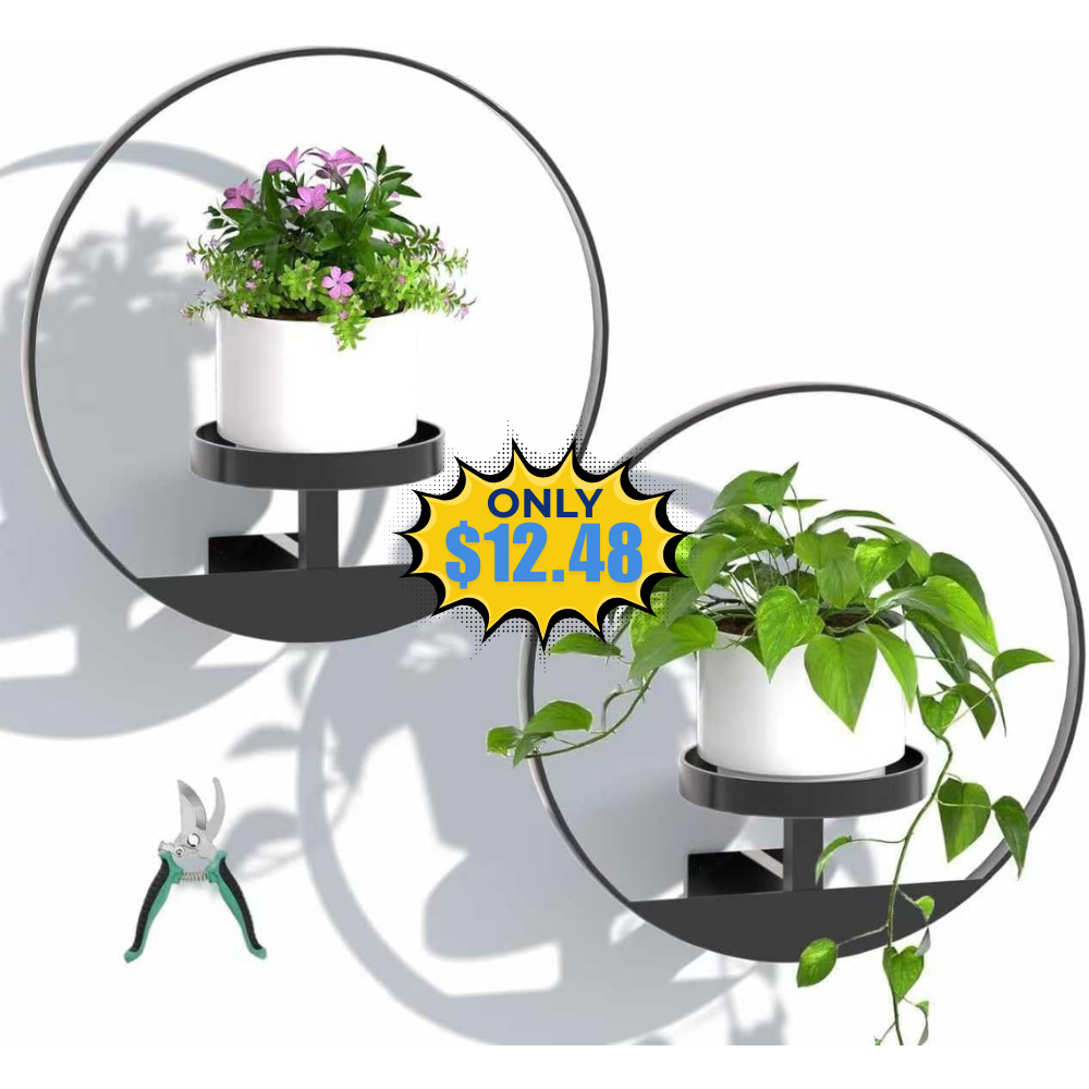Hanging Frame Decor Planter Deal: Save 50%