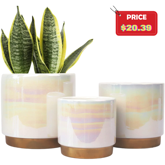 Ceramic Planter Deal: Save 6%