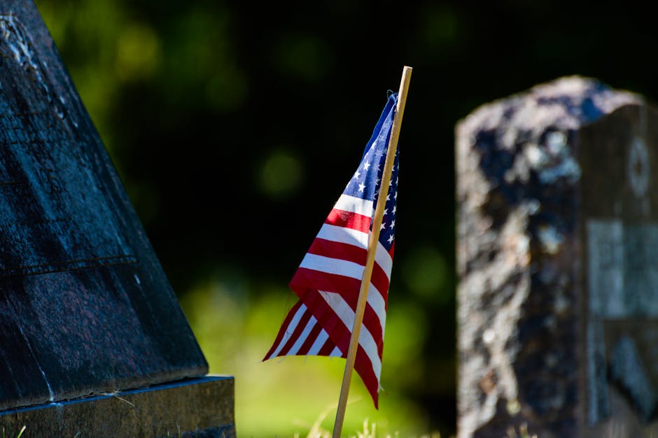 Memorial Day Sale Live at Walmart (Party Supplies, Kitchen Appliances)