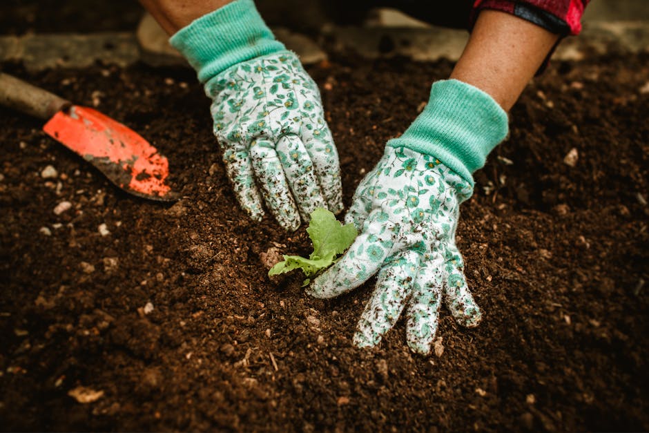 Miracle-Gro Garden Soil Only