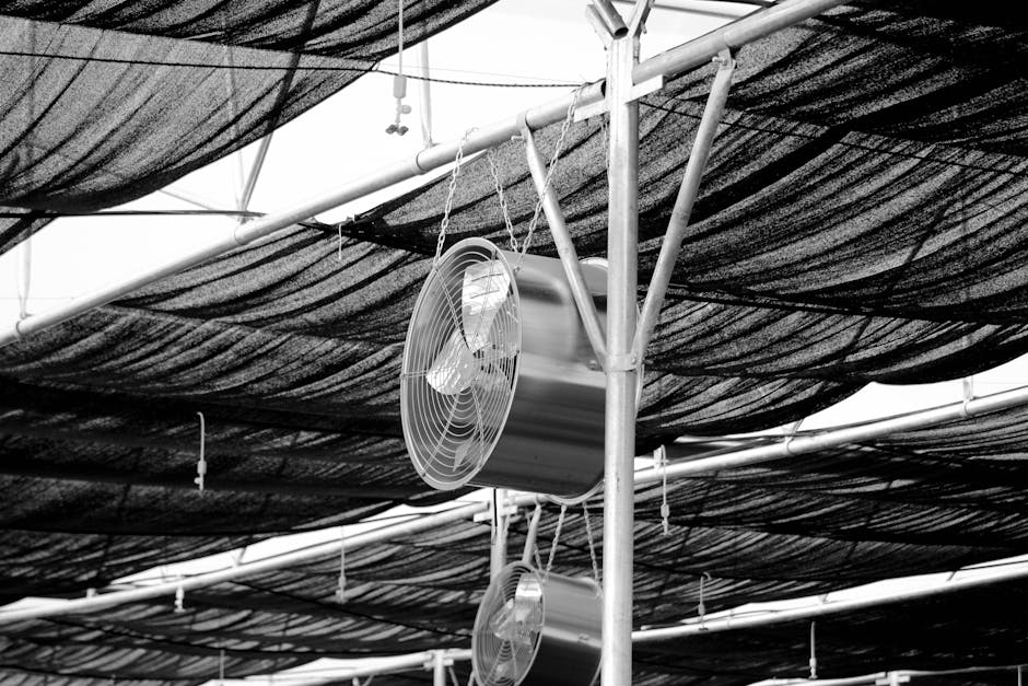 Cool Down on a Budget! Tower Fans, Ceiling Fans & Dehumidifiers