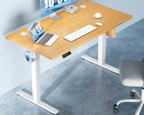 Electric Standing Desk Shipped: No Savings Mentioned