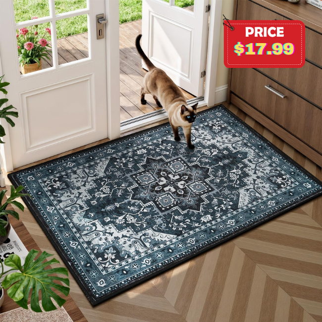 Washable Entryway Rug Sale: Save 40%