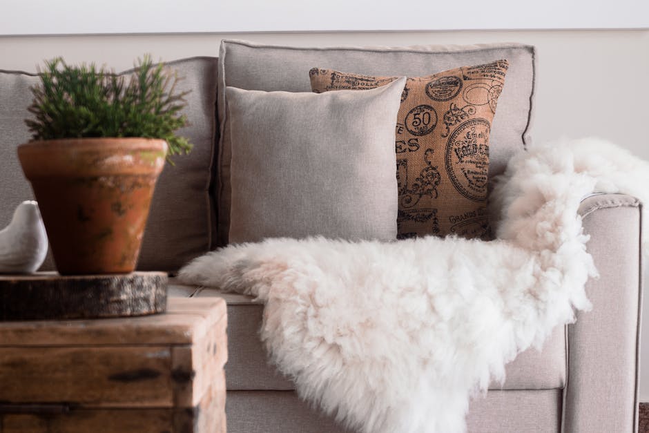 Plush Throws from Only $13