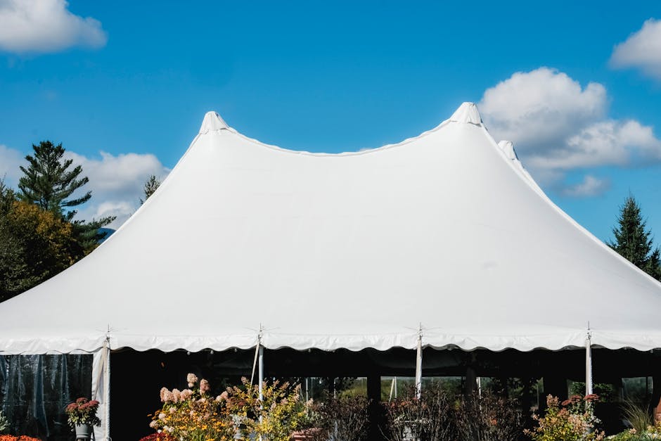 HUGE Savings on Party Essentials at Walmart | Event Canopy T deal at Walmart