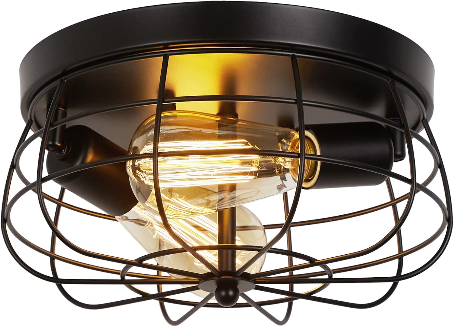 foucasal Industrial Black Flush Mount Ceiling Light 2-Light deal at Amazon